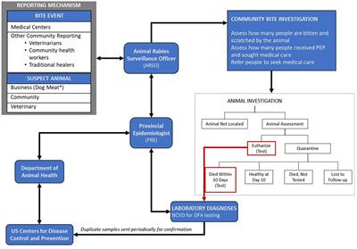 Measuring the impact of an integrated bite case management program on the detection of canine rabies cases in Vietnam